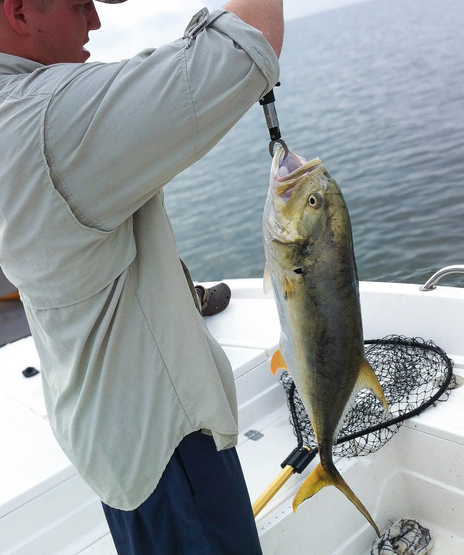 Showing Fish Hook